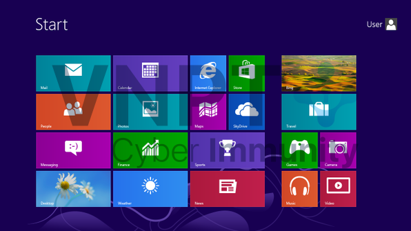 Windows 8